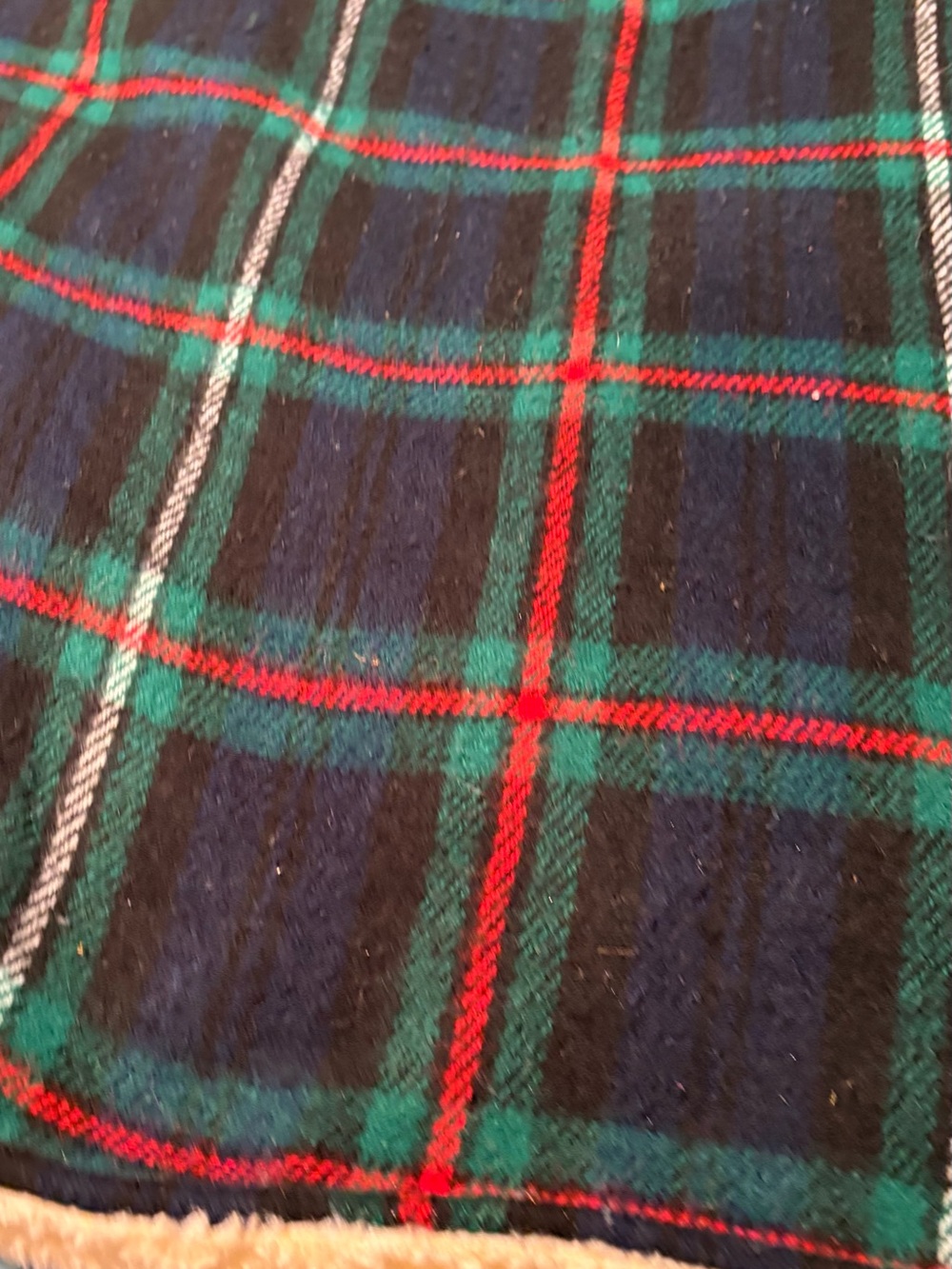 Cozy Plaid Throw Blanket in Navy, Green & Red